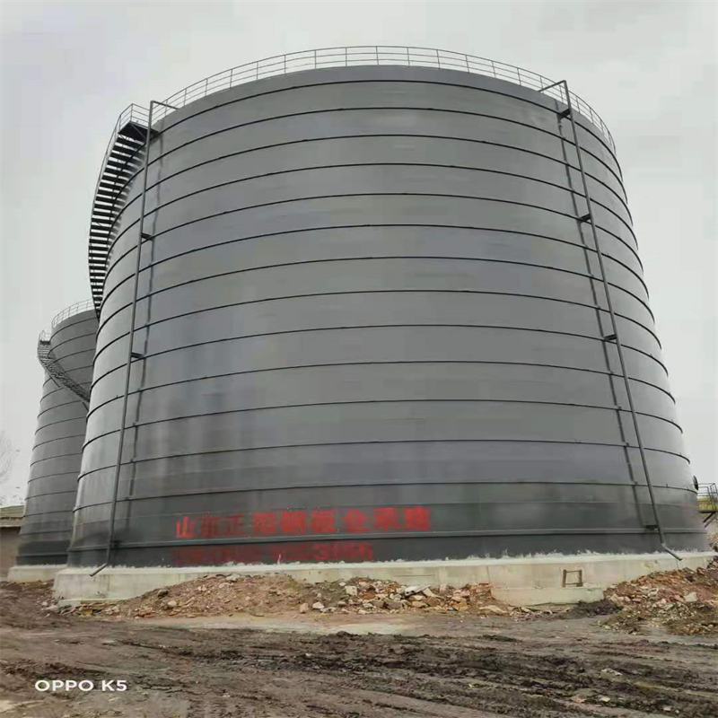 定兴3万吨大型钢板库